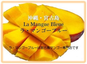 mango-cut-jpg%e3%80%80%e3%83%9e%e3%83%b3%e3%82%b4%e3%83%bc